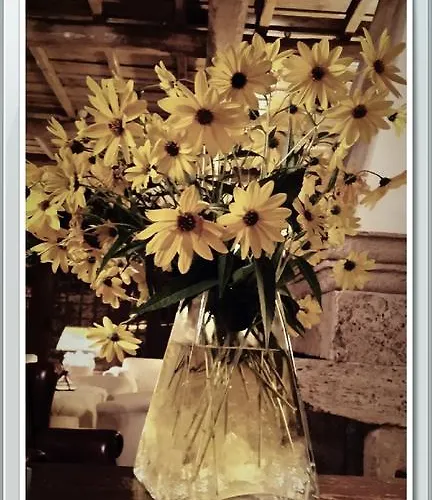 Dello Spuntino Ξενοδοχείο Grottaferrata