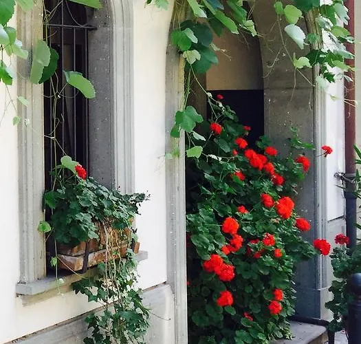 Dello Spuntino 4* Grottaferrata